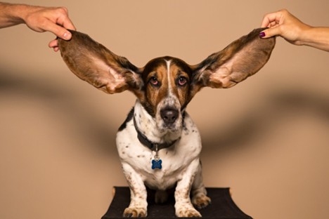 Listening